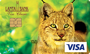 Visa карта «Классическая» от Ланта-Банка
